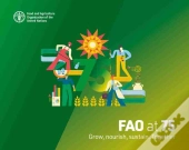 Fao At 75