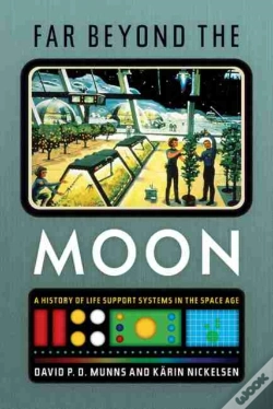 Capa do artigo Far Beyond The Moon