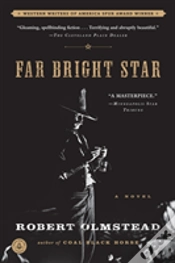 Capa do artigo Far Bright Star