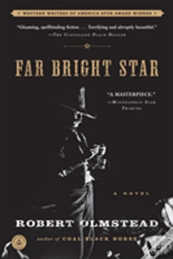 Capa do artigo Far Bright Star