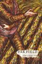Far Field - Preview