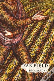 Capa do artigo Far Field