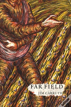 Capa do artigo Far Field