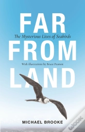 Capa do artigo Far From Land