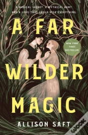 Capa do artigo Far Wilder Magic