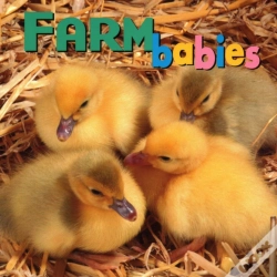 Capa do artigo Farm Babies