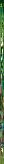 Fart Quest