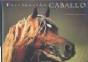 Fascinación Caballo - Preview