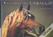 Capa do artigo Fascinación Caballo