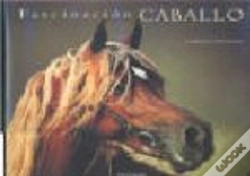 Capa do artigo Fascinación Caballo