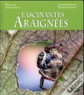 Fascinantes Araignees