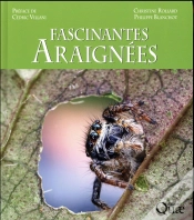 Capa do artigo Fascinantes Araignees