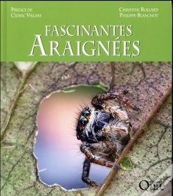 Capa do artigo Fascinantes Araignees