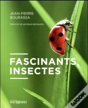 Capa do artigo Fascinants Insectes