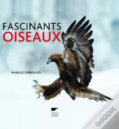 Fascinants Oiseaux