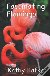 Capa do artigo Fascinating Flamingo