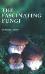 Fascinating Fungi - Preview