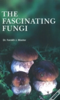 Capa do artigo Fascinating Fungi