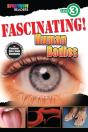 Fascinating! Human Bodies - Preview