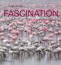 Fascination. Quand Les Animaux Se Rassem - Preview