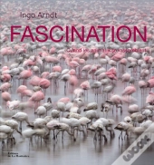 Fascination. Quand Les Animaux Se Rassem