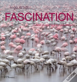 Capa do artigo Fascination. Quand Les Animaux Se Rassem