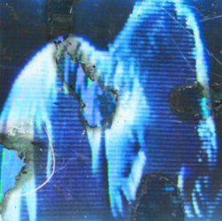 Capa do artigo Fascination - Vinil
