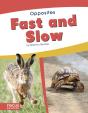 Fast And Slow - Preview