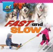 Capa do artigo Fast And Slow