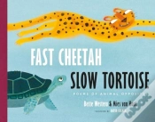 Capa do artigo Fast Cheetah, Slow Tortoise