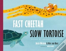Capa do artigo Fast Cheetah, Slow Tortoise