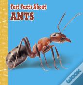 Fast Facts About Ants