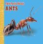 Fast Facts About Ants - Preview