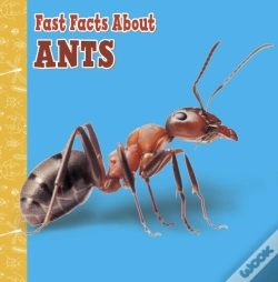 Capa do artigo Fast Facts About Ants