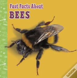 Capa do artigo Fast Facts About Bees