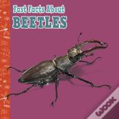 Fast Facts About Beetles