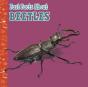 Fast Facts About Beetles - Preview