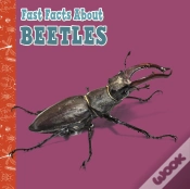 Capa do artigo Fast Facts About Beetles