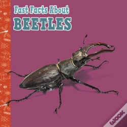Capa do artigo Fast Facts About Beetles