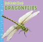 Fast Facts About Dragonflies - Preview