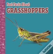 Capa do artigo Fast Facts About Grasshoppers