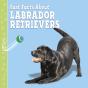 Fast Facts About Labradors - Preview