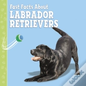 Capa do artigo Fast Facts About Labradors