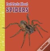 Capa do artigo Fast Facts About Spiders