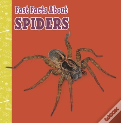 Capa do artigo Fast Facts About Spiders