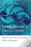 Fast Oscillations In Cortical Circuits