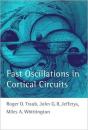 Fast Oscillations In Cortical Circuits - Preview