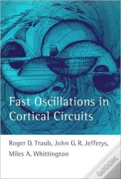 Fast Oscillations In Cortical Circuits