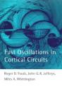 Fast Oscillations In Cortical Circuits - Preview