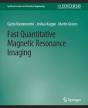 Fast Quantitative Magnetic Resonance Imaging - Preview
